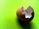 "Egg Crack" by WiredCanvas